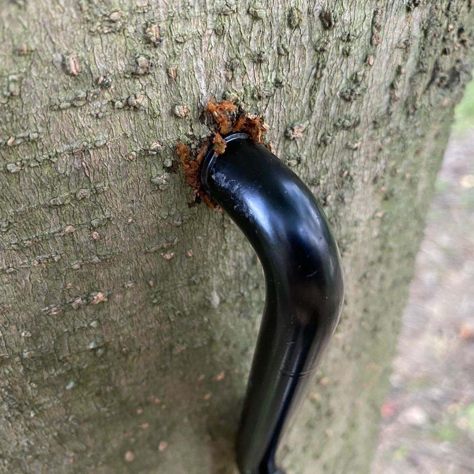 나무 등반용 스크류인 스텝, 너링 패턴, 705lbs, - Tree Stand Ladder 리뷰 및 가격